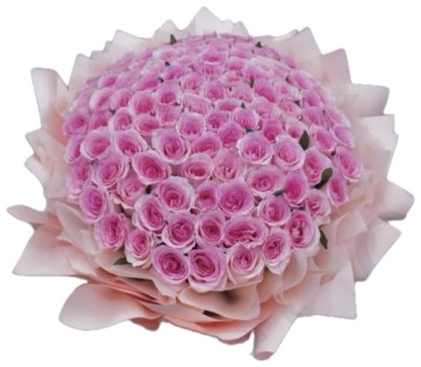 101 Pink Roselle Roses - Image 2