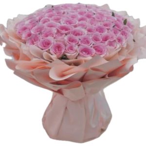 31 Pink Roselle Rose