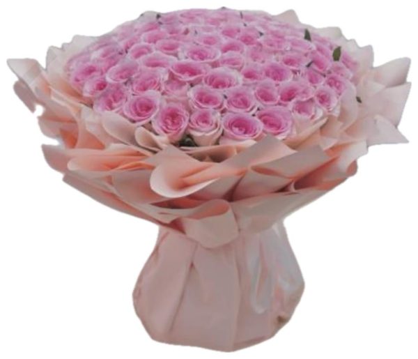 101 Pink Roselle Roses - Image 3