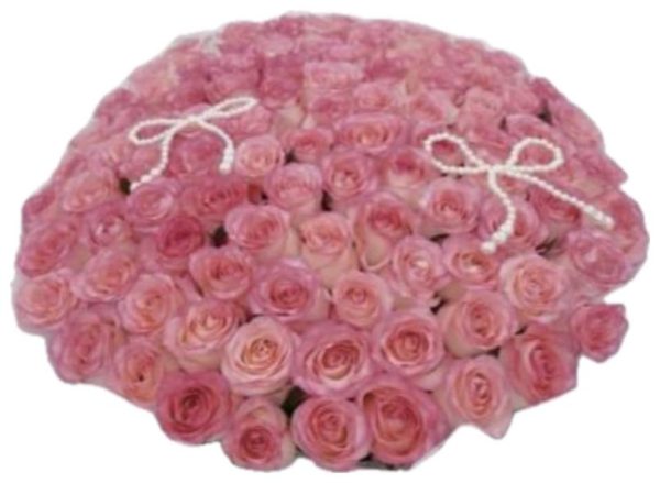 101 Aisha Roses - Image 2