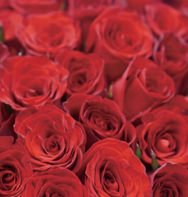 101 Red Roses With Vase - Image 2