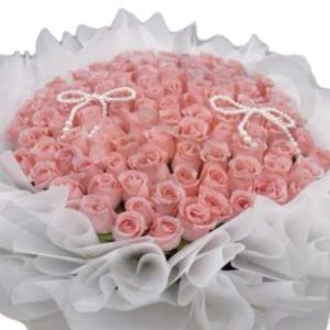 101 Diana Roses