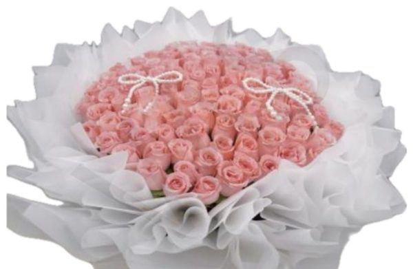 101 Diana Roses